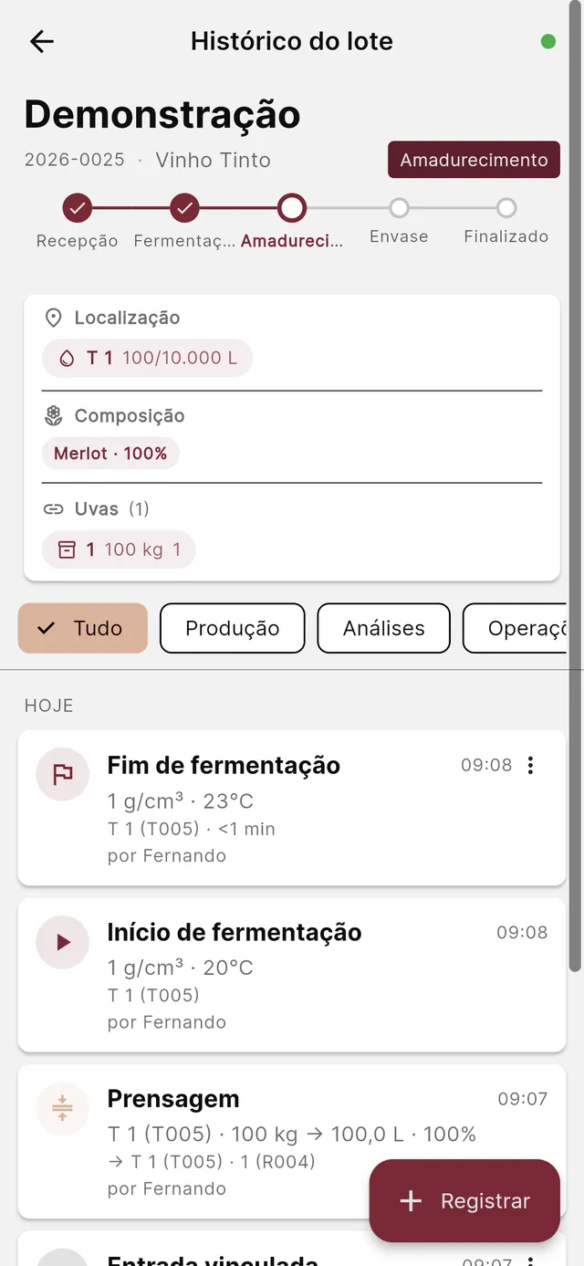 Ficha técnica completa do lote